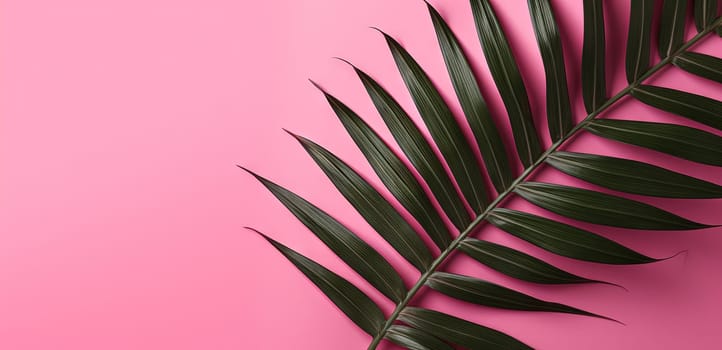 Green leaves of palm tree on pastel pink background. Generated AI