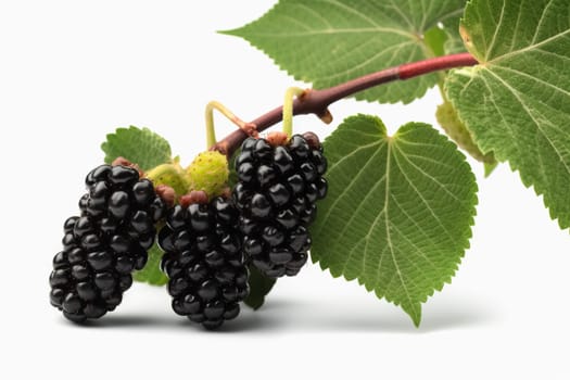 Mulberries on background. Juicy black and red berries, fresh and sweet. Generated AI.