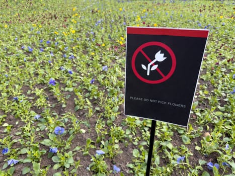 Sign asking visitors not to pick flowers placed in blooming public flowerbed symbolizes respect for nature, community rules and urban environmental protection