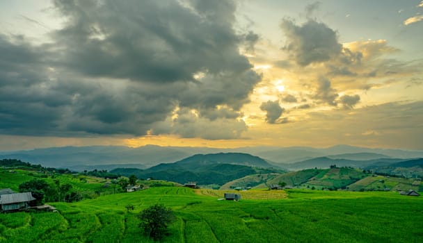 Sunset casts golden light over rolling green hills and rice terrace fields with rural village in the mountains. Eco living and sustainable agriculture. Organic farming. Beauty of sustainable living.