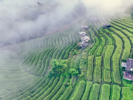 Drone view of green rice terraces covered in soft morning fog with traditional huts in a rural Chiangmai village, showing eco farming practices, local culture, and highland organic cultivation