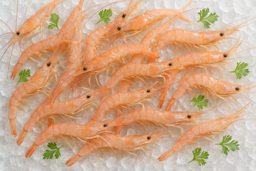 AI generated top view of raw tiny shrimps on crushed ice with green herbs in bright daylight showing freshness cleanliness and the appetizing appeal of natural seafood display
