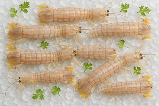 AI generated top view of fresh raw mantis shrimps arranged on crushed ice with green herbs under daylight showing natural texture freshness and clean seafood appeal
