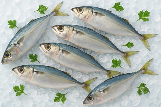 AI generated clean whole raw mackerels on crushed ice in top view with bright daylight and fresh herbs showing freshness chill and culinary quality with a vibrant and appetizing natural mood