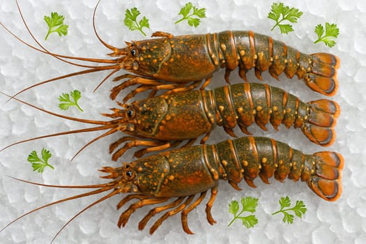 AI generated top view of fresh raw lobsters on crushed ice with green herbs under daylight highlighting freshness texture and natural seafood appeal in a bright clean setup