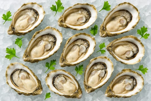AI generated top view of fresh oysters on crushed ice with green herbs in bright daylight reflecting freshness cleanliness and the gourmet appeal of premium seafood