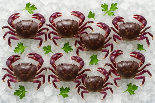 AI generated top view of raw rice field crabs on crushed ice with green herbs in bright daylight showing freshness cleanliness and cool natural seafood appeal for culinary use