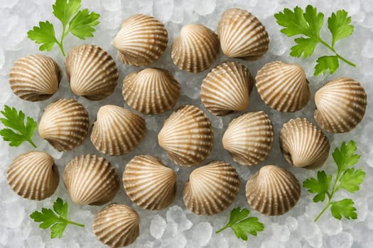 AI generated top view of fresh blood cockles on crushed ice with green herbs in bright daylight showing freshness coolness and appetizing colors for food and seafood themes