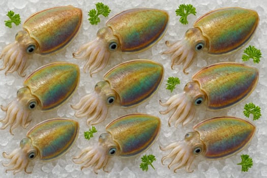 AI generated rainbow cuttlefish top view on crushed ice with fresh parsley in bright daylight showing vibrant color clarity cold freshness and premium seafood ingredient for culinary and creative use