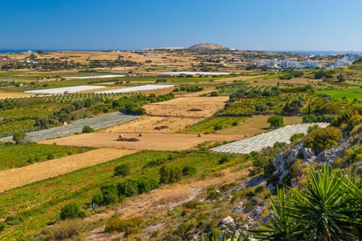 Picturesque rural landscape somewhere in Malta.