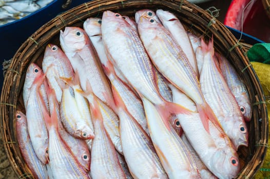 catch of fresh sea fish Threadfin Bream in a basket at the seafood market