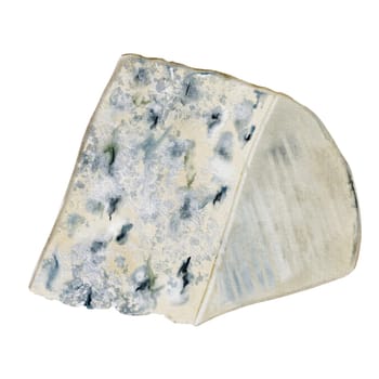 Piece of cheese watercolor illustration. Hand drawn dorblu or roquefort cheese with blue noble mold. Clip art food realism. Ideal for organic dairy farm packaging and restaurant menu design. High quality illustration