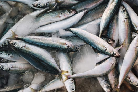 catch of fresh sea fish in ice at seafood market in Asia