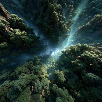 Abstract aerial view of a deep vertical canyon filled with dense, stylized trees and mist, illuminated by radiant light beams breaking through the foliage.