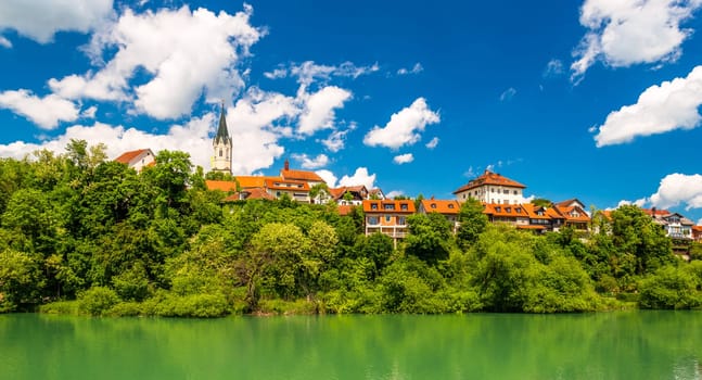 Panoramic view of Novo Mesto, a city in Slovenia.