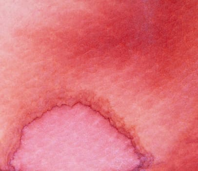 This artwork showcases a stunning watercolor texture featuring deep pink and red shades. Subtle gradations create a soft, organic form that draws viewers into its warm, inviting colors.