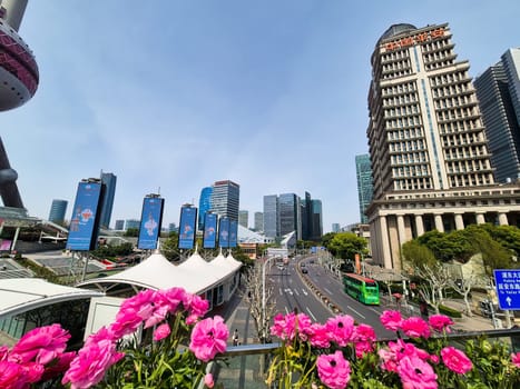 Shanghai, China - 1 April 2025: Urban view with pink flowers in foreground, tall buildings, buses, and street life in Lujiazui financial district.