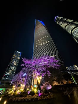 Shanghai, China - 1 April 2025: Night view of Shanghai World Financial Center with purple-lit cherry blossoms and city lights in Lujiazui district.