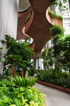 Singapore, Singapore - 4 April 2025: Indoor sky garden with tropical plants and curved architecture inside Capita Spring building in central business district.