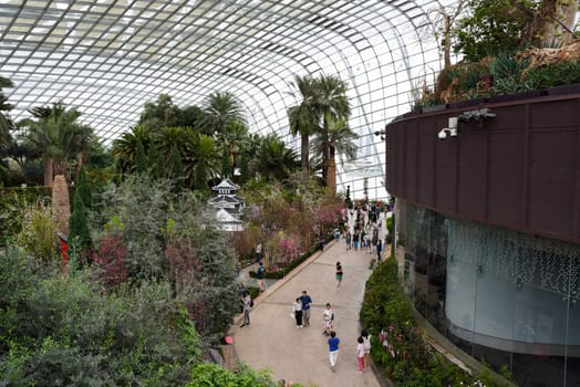 Singapore, Singapore - 4 April 2025: Visitors explore lush greenery and tropical landscapes inside the Flower Dome at Gardens by the Bay, a popular indoor attraction.