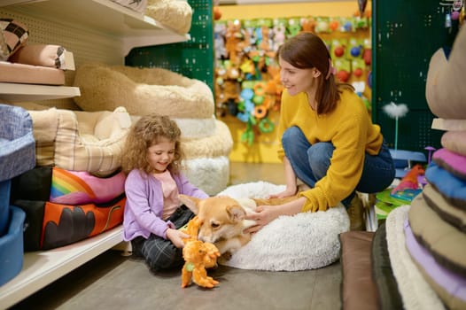 Happy mother and daughter choosing bed and toy for their lovely corgi dog at pet shop
