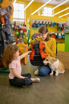 Young mother and little daughter choosing new outwear for their corgi dog at pet shop. Variety of assortment on showcase
