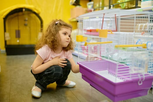 Little girl child sitting nearby cage for rodent at pet shop searching new home for her adorable domestic animal