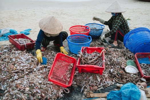Vietnamese female saleswomen sort seafood on Tam Tien Fish Market on the beach by sea in Vietnam