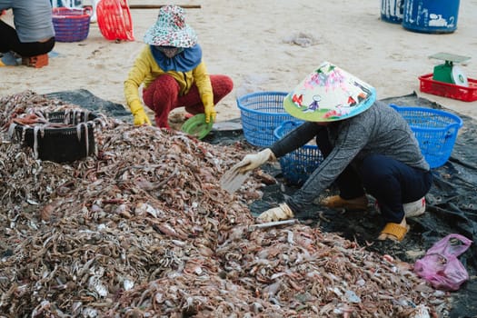 Vietnamese female sort seafood on Tam Tien Fish Market on the beach by the sea in Vietnam