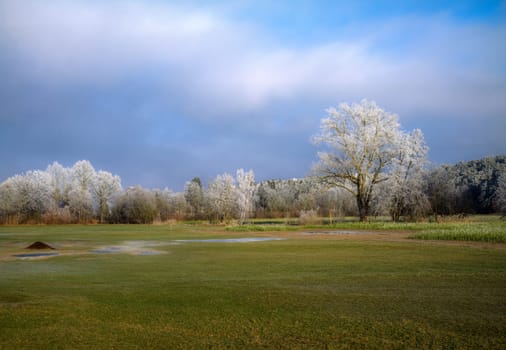Bavarian winter landscape with frost covered trees seen in Schrobenhausen (Bavaria, Germany)