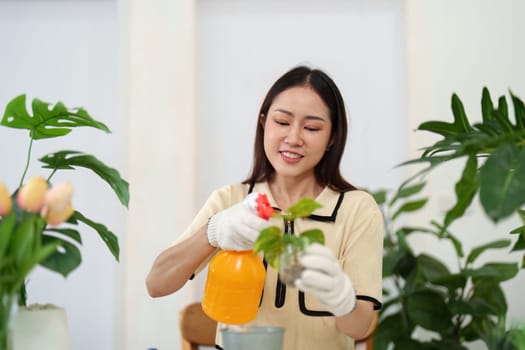 With care and attention, the woman nurtures her indoor plants using a spray bottle, embodying sustainable gardening habits.