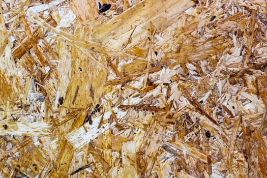 This image is a closeup view of a piece of plywood, clearly showcasing the unique texture and characteristics of the wood material