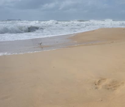 Pre Cyclone Conditions Sunshine Coast Queensland with rough seas, huge surf waves, container ship on horizon, all very dangerous conditions as  Cyclone Alfred approaches