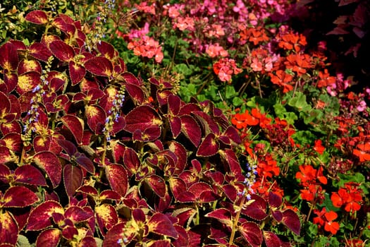 the process of making a yard or other piece of land more attractive by altering the existing design