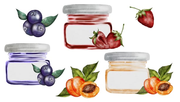 Jam watercolor illustration set. Hand drawn canned sweets on white background. Clip art food. Ideal for packaging goods with jam apricot, blueberry and strawberry. Organic food. High quality illustration