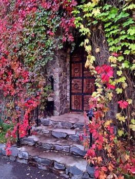 Vertical autumn photo of a rustic wooden entrance door with metal details, set above stone steps. The surrounding walls are beautifully covered with vibrant red and green ivy leaves, creating a cozy, seasonal atmosphere. Ideal for themes of fall, architecture, and picturesque homes.