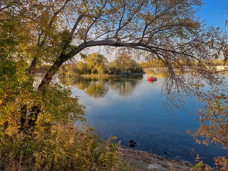 Horizontal photo of a peaceful city park lake surrounded by vibrant yellow autumn trees. A red pedal boat floats on the calm water creating a tranquil seasonal scene. Reflections of fall foliage on the surface enhance the beauty and mood of the moment.