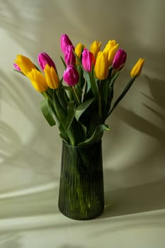 Fresh bouquet of colorful tulip flowers in pastel background with shadows. Minimalist design greeting card for springtime holidays. Gift for birthday 8 March Mother's Day Valentine's day Women's Day. Copy space