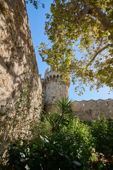 Castle tower peeking through greenery sun
