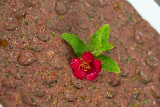 Kebbe naye is showcased on a white plate, featuring finely chopped raw meat mixed with bulgur, onions, mint, and spices, designed for a rich culinary experience.