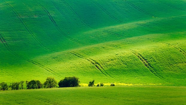 Beautiful spring landscape with field, hills and sunset. Czech Republic - South Moravia (Moravian Tuscany.) Concept for agriculture, travel, environment and nature..