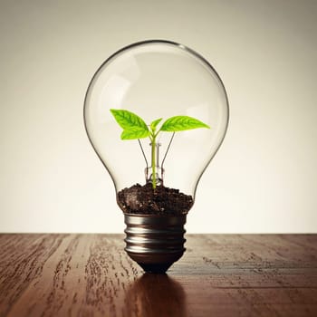 Small green plant in a light bulb. Concept for environment, energy in industry and nature 