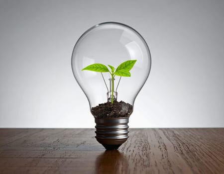 Small green plant in a light bulb. Concept for environment, energy in industry and nature 