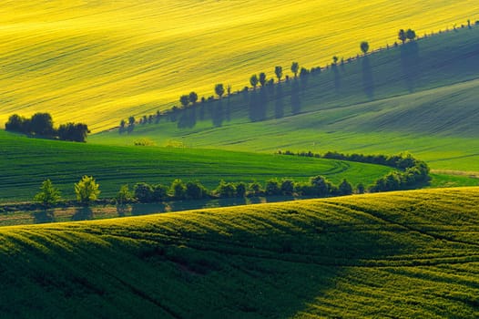Beautiful spring landscape with field, hills and sunset. Czech Republic - South Moravia (Moravian Tuscany.) Concept for agriculture, travel, environment and nature..