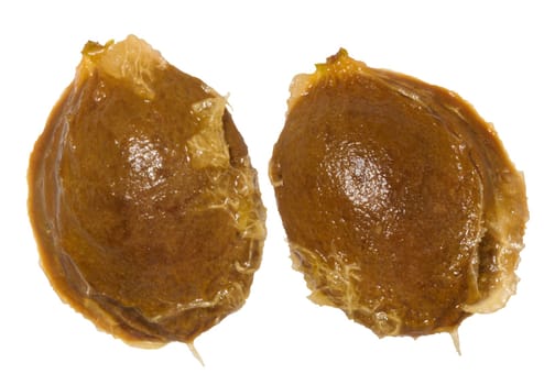 Two apricot pits, cleaned of pulp, with visible fibers. Close-up of pits on isolated background
