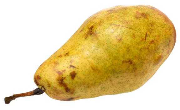 Ripe yellow pear with a characteristic shape and brown spots on the skin. Close-up of the fruit on an isolated background, Conference pear variety