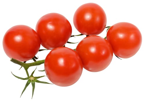 Fresh cherry tomatoes on the vine, isolated background. Juicy red tomatoes with green stems, perfect for salads