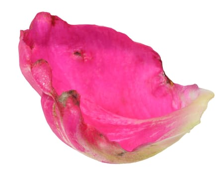 Red peony petal on isolated background, close up