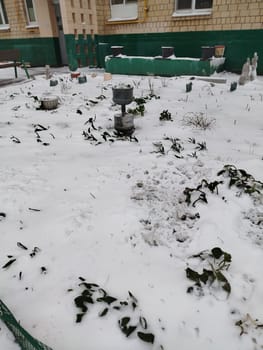 A dusting of snow covers a garden with small plants and a metal feature. The ground is white and covered with plants. The backdrop is a short building with green accents.