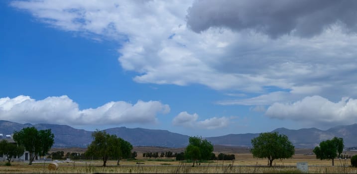 Scenic view of green trees, grass fields, and mountains under the clear sky in Cyprus, showcasing the island’s natural beauty and peaceful atmosphere.